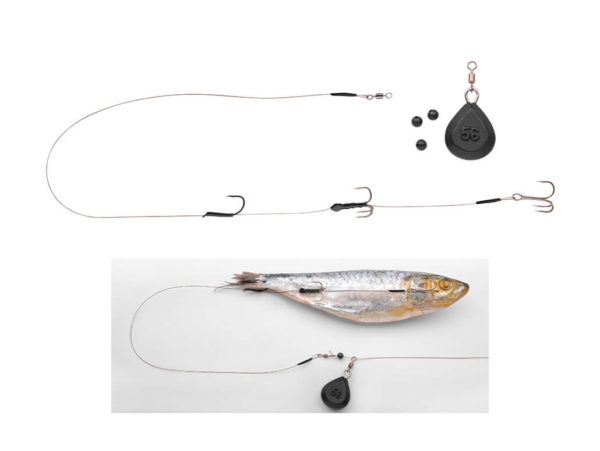 spro deadbait bottom rig